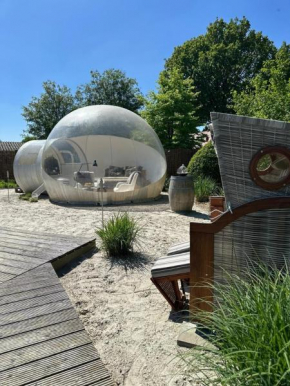 Bubble Hotel